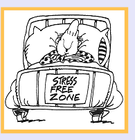 Cartoon: Patient in hospital bed with sign saying 'Stress Free Zone'